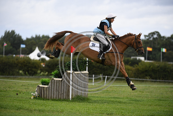 Burgham International Horse