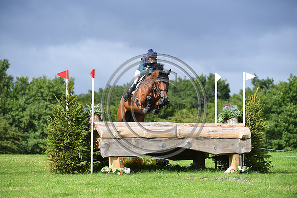 Burgham International Horse