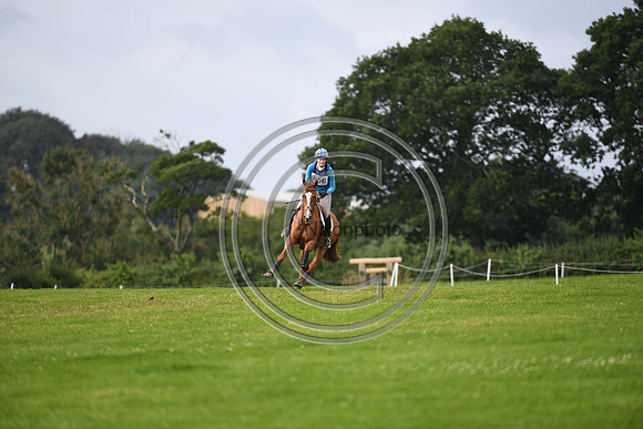 Burgham International Horse