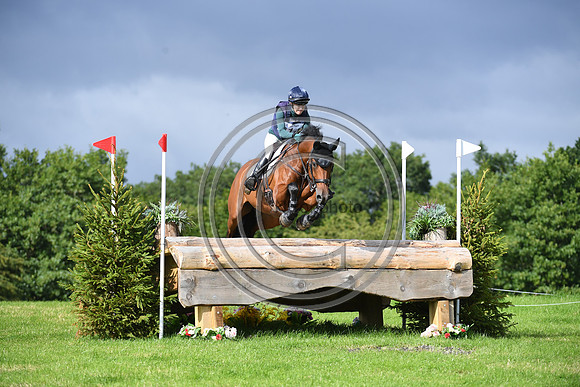 Burgham International Horse