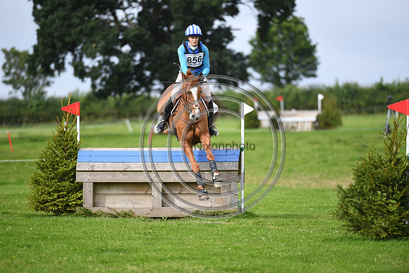 Burgham International Horse