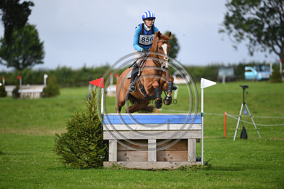 Burgham International Horse