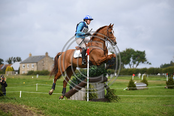 Burgham International Horse