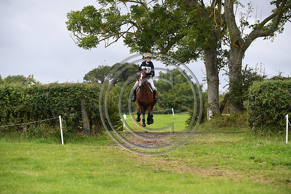 Burgham International Horse