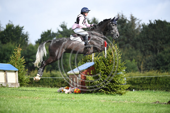Burgham International Horse