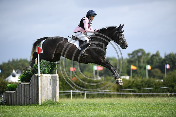 Burgham International Horse