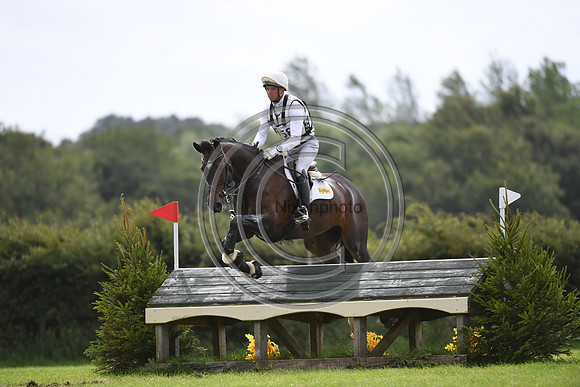 Burgham International Horse