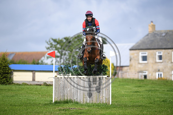 Burgham International Horse