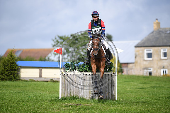 Burgham International Horse