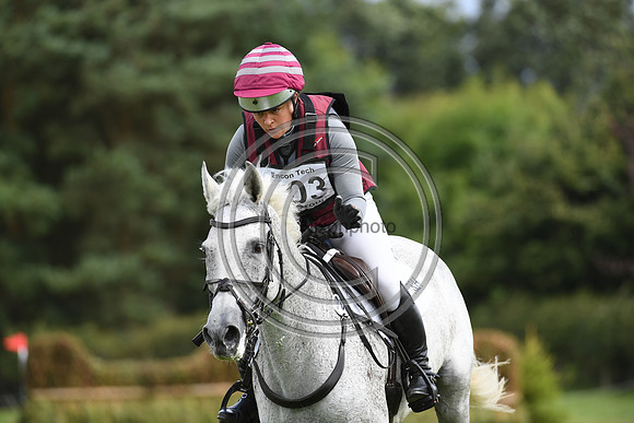 Burgham International Horse