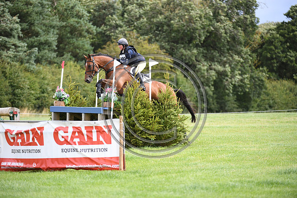Burgham International Horse