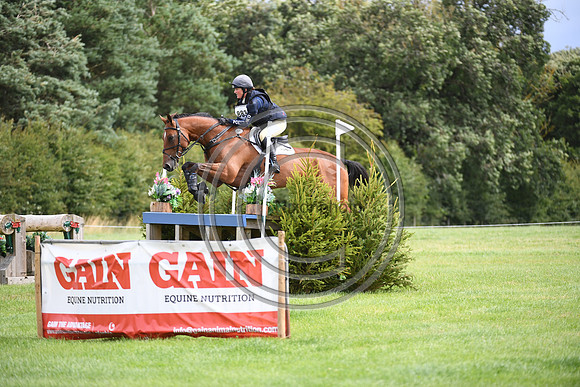 Burgham International Horse