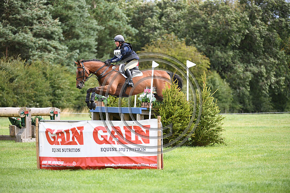 Burgham International Horse