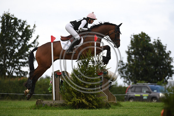 Burgham International Horse