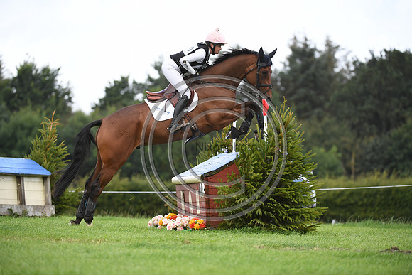 Burgham International Horse