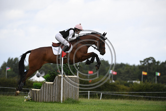 Burgham International Horse