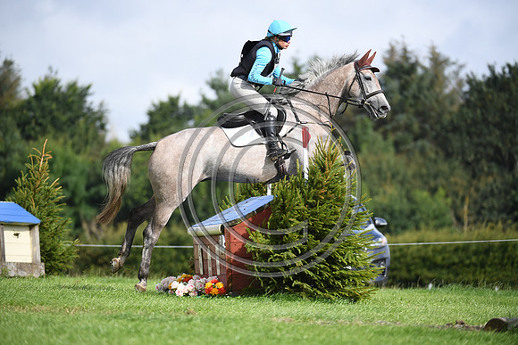 Burgham International Horse