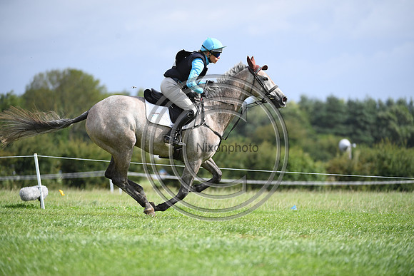 Burgham International Horse