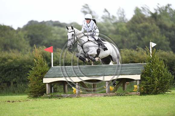 Burgham International Horse