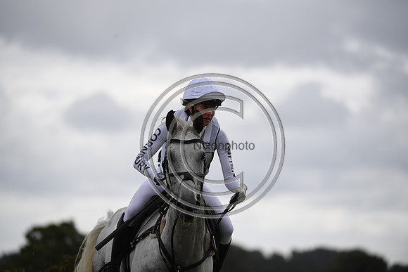 Burgham International Horse
