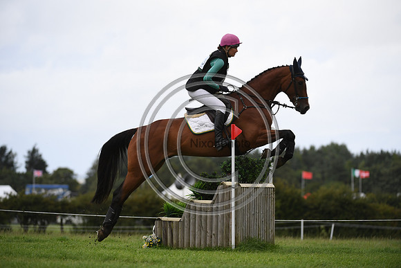 Burgham International Horse