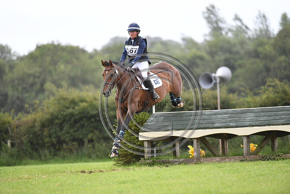 Burgham International Horse