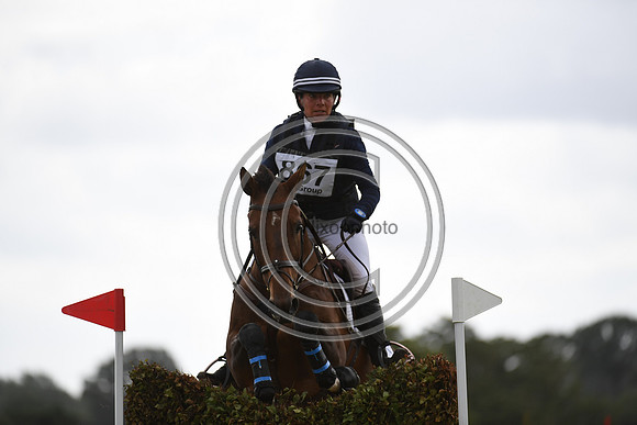 Burgham International Horse