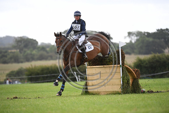 Burgham International Horse