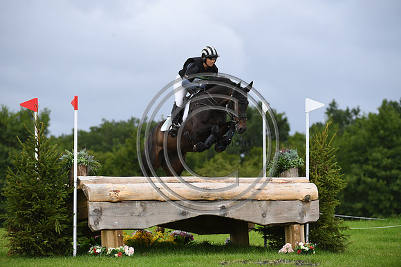 Burgham International Horse
