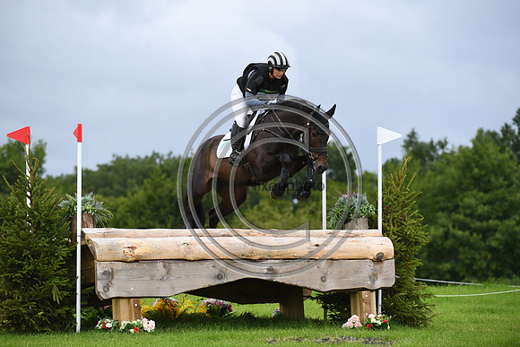 Burgham International Horse