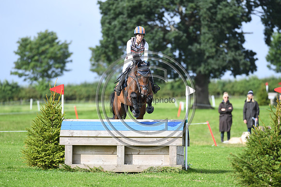 Burgham International Horse