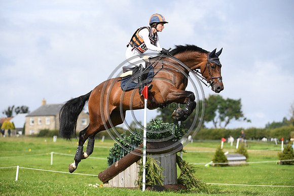 Burgham International Horse