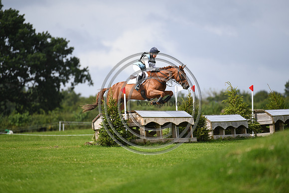 Burgham International Horse