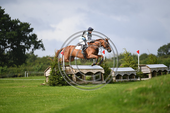 Burgham International Horse