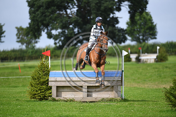 Burgham International Horse