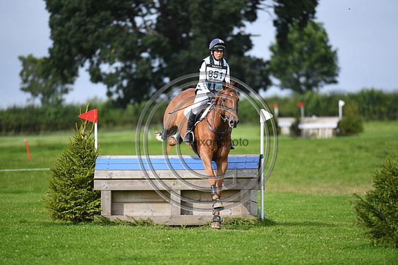Burgham International Horse