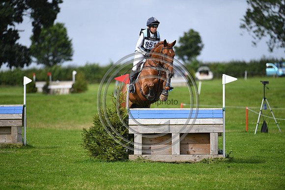 Burgham International Horse
