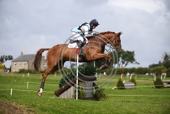 Burgham International Horse
