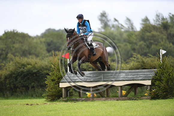 Burgham International Horse