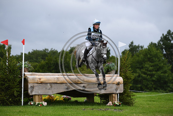 Burgham International Horse