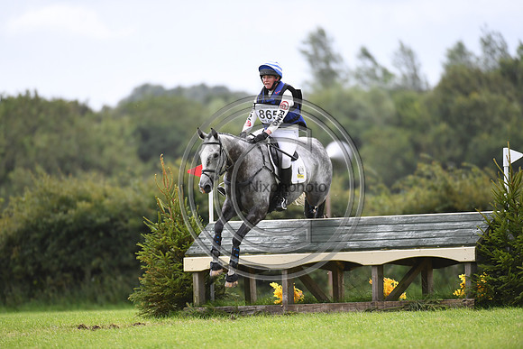Burgham International Horse