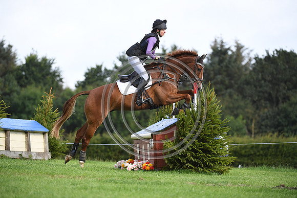 Burgham International Horse