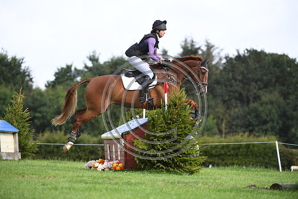 Burgham International Horse