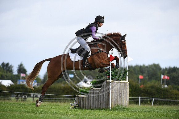 Burgham International Horse