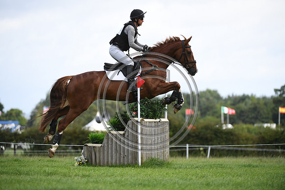 Burgham International Horse