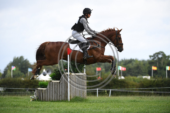 Burgham International Horse