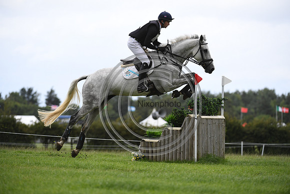 Burgham International Horse
