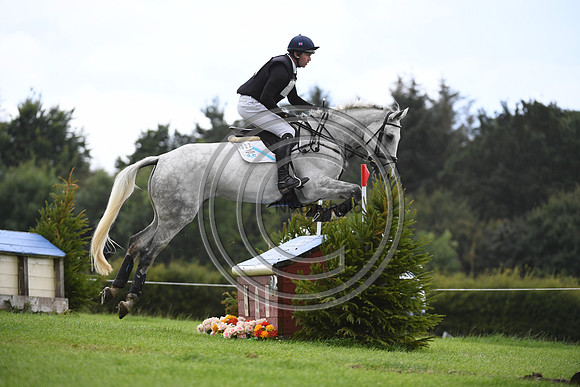 Burgham International Horse
