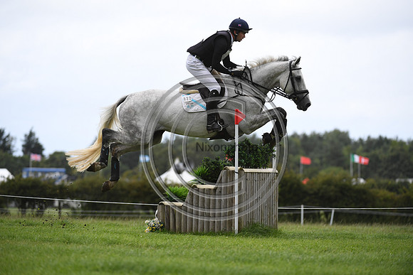 Burgham International Horse
