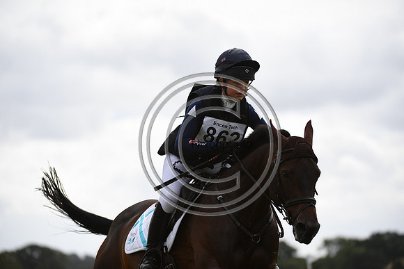 Burgham International Horse